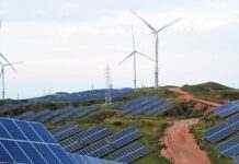 Виплати “зеленим” інвесторам впали на рекордні 60%