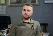 Почали гризти один одного за владу і гроші. Буданов про конфлікт Пригожина та Шойгу