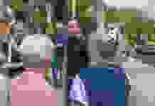 У Кам’янському асфальтують внутрішньоквартальні дороги