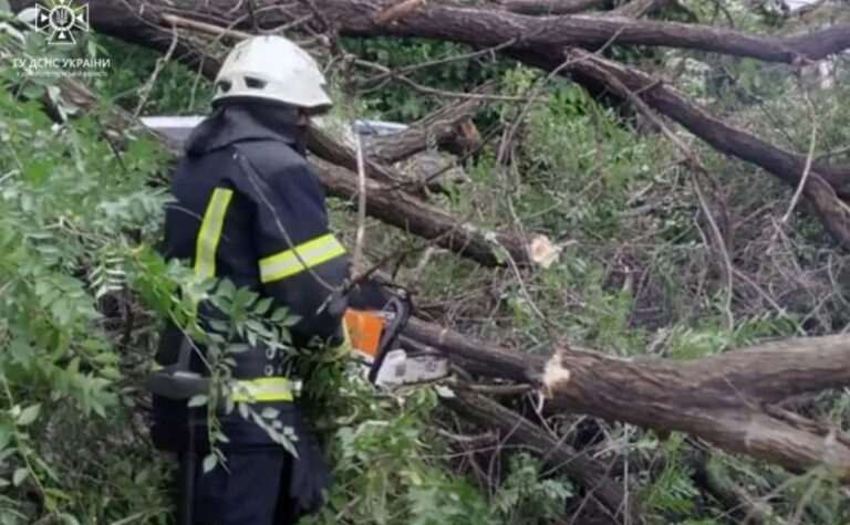Перекрило проїжджу частину: у Дніпрі надзвичайники прибрали з дороги повалене дерево