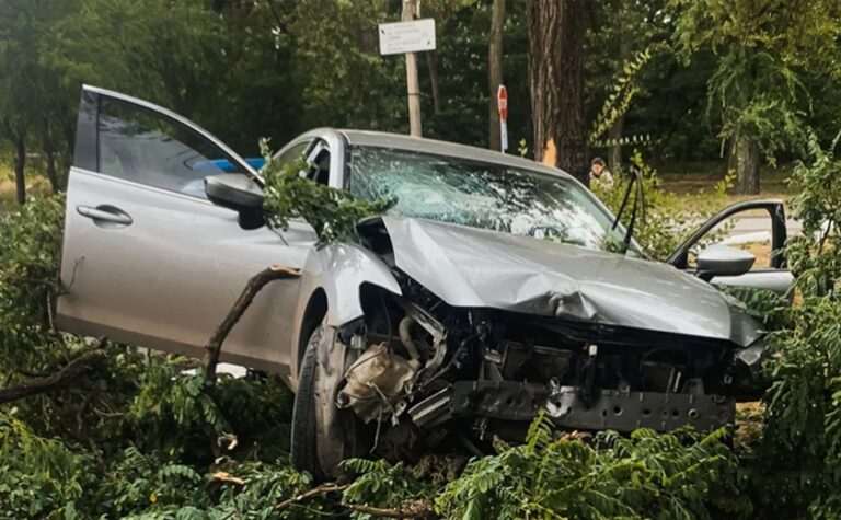 Не впорався з керуванням та влетів у дерево: подробиці ДТП з постраждалим у Дніпрі