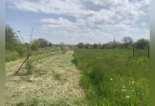 На Запоріжжі прокуратура повернула територіальній громаді землю вартістю понад 16 млн грн