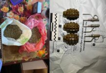 Житель м. Покров зберігав вдома наркотики та боєприпаси: деталі