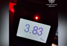 У Кривому Розі пʼяний водій заїхав на кладовище та пошкодив могильну огорожу