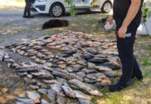 На Запоріжжі викрили браконьєрів, які завдали збитків державі на півмільйона гривень