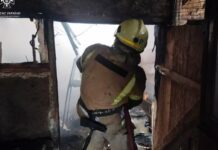 Надзвичайники Кривого Рогу ліквідували займання на території приватного домоволодіння