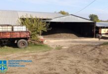 Привласнив майже 3,5 млн грн при зборі врожаю – у Жовтих Водах судитимуть підприємця-зловмисника
