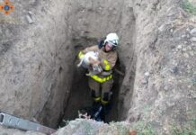 Надзвичайники Нікополя врятували собаку, що впала в 3-метрову яму
