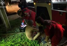 Горіла квартира в баготоповерхівці: на пожежі у Марганці врятували двох чоловіків