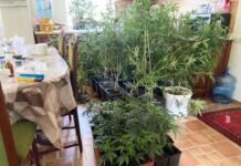 Запорізькі поліцейські викрили двох наркозлочинців: деталі