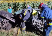 Водій загинув: у Павлоградському районі Skoda OCTAVIA зіткнулася з вантажівкою та з’їхала в кювет