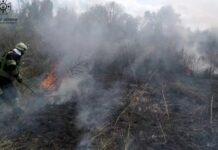 Протягом доби на Дніпропетровщині вогнеборці ліквідували 17 пожеж в екосистемах