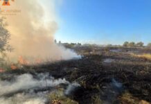 За минулу добу на території області рятувальники ліквідували 2 пожежі в екосистемах