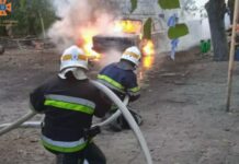 Спалахнув посеред двору: У Новомосковському районі згорів легковик