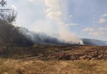 У Новомосковському районі вогнеборці загасили пожежу на території лісового господарства