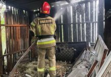 Вогонь міг перекинутися на житловий будинок: у Новомосковську горіла господарча споруда