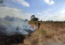 33 займання протягом доби: знов палають екосистеми Дніпропетровщини