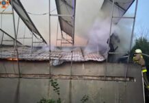 На даху знаходились сонячні панелі: у Павлоградському районі надзвичайники ліквідували пожежу в нежитловій будівлі