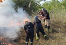 Вдалося запобігти перекиданню полум’я на житлові будинки: у Запорізькому районі рятувальники ліквідували займання на відкритій території