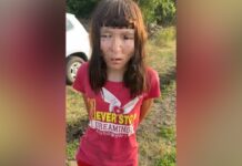 Побила до смерті 49-річного чоловіка та втекла до іншого міста: у Дніпрі затримали підозрювану у злочині