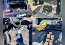 Поліцейські Дніпра затримали чоловіка, який перевозив боєприпаси