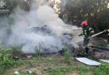 Зайнялися солома, сміття та паркан: У Кривому Розі ліквідовано у приватному житловому секторі