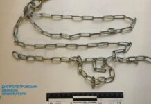 Катував та тримав на ланцюгу 5-річного пасинка: у Нікополі судитимуть місцевого мешканця