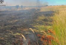За добу надзвичайники Дніпропетровщини ліквідували 35 загорань на відкритих територіях