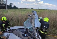 Водійка загинула: у Павлоградському районі зіткнулися легковик Nissan Primera та вантажний автомобіль Renault