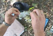 Налагодили продаж наркотиків на території міста: у Кривому Розі затримали групу наркоділків