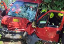 Рятувальники деблокували водія з понівеченої автівки: ДТП з потерпілим у Камʼянському районі