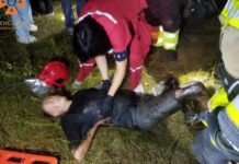 Впав у резервуар глибиною 8 метрів: запорізькі рятувальники надали допомогу чоловіку