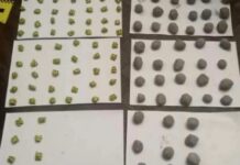 130 згортків із психотропною речовиною: поліцейські Кам`янського затримали закладчика наркотиків