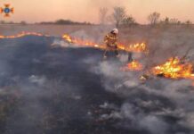 Протягом доби вогнеборці Дніпропетровщини приборкали 86 пожеж в екосистемах