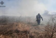 Надзвичайники Дніпропетровщини ліквідували 30 пожеж в екосистемах протягом доби