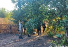 Скинув труп у колодязь: на Запоріжжі затримали чоловіка, підозрюваного у вбивстві товариша