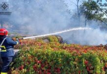 Вогнеборці Дніпропетровщини продовжують боротьбу з пожежами в екосистемах