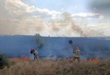 Вигоріло 20 га: вогнеборці Дніпропетровщини протягом доби ліквідували 37 пожеж в екосистемах