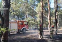 Криворізькі вогнеборці загасили пожежу на території лісового господарства
