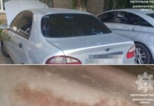 Патрульні Дніпра виявили «автомобіль-двійник»