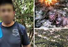 У Комунарському районі Запоріжжя затримали крадія кабелів