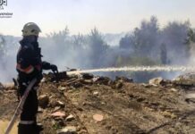 43 пожежі на відкритих територіях: вогнеборці Дніпропетровщини продовжують боротися з загораннями в екосистемах