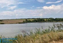 Павлоградська прокуратура допомогла громаді повернути землі водного фонду вартістю майже 600 млн грн
