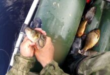 У Павлограді чоловіка оштрафували за вилов риби під час нерестової заборони