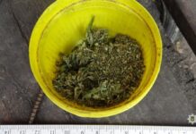 У 45-річного жителя Новомосковска вилучили наркотичні речовини: деталі