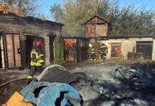 Загальна площа пожежі 200 кв. м: вогнеборці Дніпра ліквідували масштабне займання