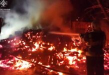 У Дніпровському районі 4 години гасили займання на території приватного домоволодіння: деталі