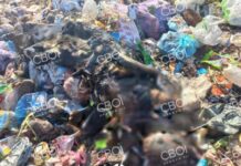 На сміттєзвалищі у Кривому Розі знайшли труп жінки