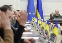 «Я проти, щоб з українців робили дурнів»: Загід Краснов прокоментував заяву Кабміну про єдиний план реформ