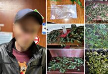 Патрульні Запоріжжя виявили наркотичні речовини, прибувши на виклик про конфлікт